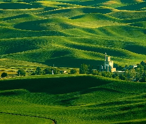 Drzewa, Wzgórza, Stany Zjednoczone, Pola, Region Palouse, Stan Waszyngton, Łąki