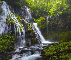 Drzewa, Stan Waszyngton, Stany Zjednoczone, Gifford Pinchot National Forest, Wodospad Panther Creek Falls, Roślinność, Miejsce chronione, Las