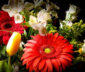Alstremeria, Gerbera, Kwiaty, Bukiet