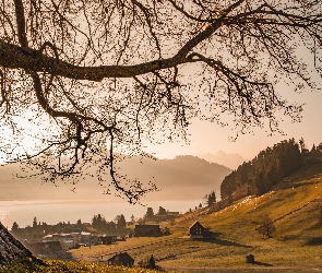 Góry, Jezioro, Kanton Schwyz, Drzewo, Domy, Szwajcaria, Einsiedeln