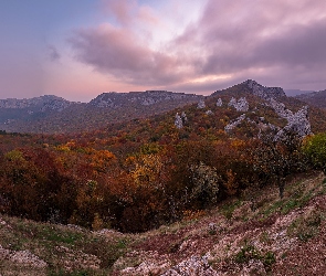 Góry Krymskie, Drzewa, Ukraina, Jesień, Sewastopol, Lasy