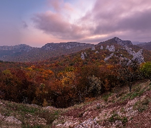 Ukraina, Sewastopol, Drzewa, Góry Krymskie, Lasy, Jesień