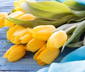 Deski, Materiał, Żółte, Tulipany