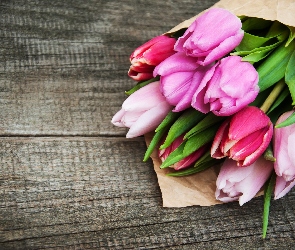 Tulipany, Papier, Różowe