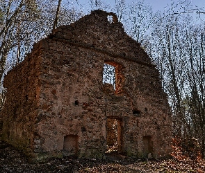 Drzewa, Dolina Eliasza, Dom, Ruiny, Polska, Gmina Krzeszowice, Czerna, Województwo małopolskie, Stara pralnia