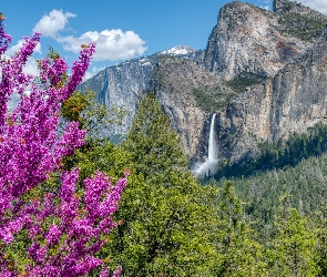 Góry, Bridalveil Fall, Drzewa, Wodospad, Kalifornia, Sierra Nevada, Stany Zjednoczone, Park Narodowy Yosemite
