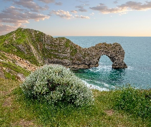 Skała, Wybrzeże Jurajskie, Morze, Anglia, Chmury, Łuk wapienny Durdle Door, Hrabstwo Dorset, Rośliny