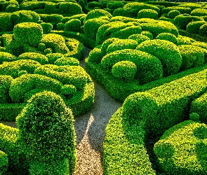 Krzewy, Marqueyssac, Klomby, Ogród, Departament Dordogne, Bukszpan, Francja, Vezac