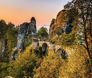 Formacja skalna Bastei, Park Narodowy Saskiej Szwajcarii, Niemcy, Skały, Drzewa, Góry Połabskie, Most