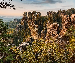 Niemcy, Park Narodowy Saskiej Szwajcarii, Skały, Góry Połabskie, Bastei, Drzewa