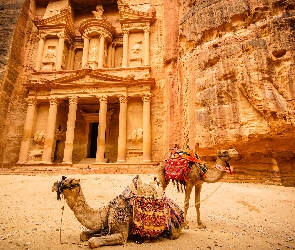 Różowe Miasto, Skały, Petra, Wielbłądy, Ruiny, Jordania, Skarbiec Faraona Al-Chazna