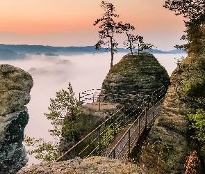 Skały, Góry Połabskie, Niemcy, Pomost, Drzewa, Park Narodowy Saskiej Szwajcarii, Mgła