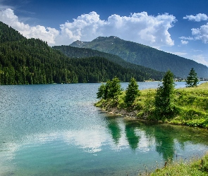 Trawa, Las, Chmury, Drzewa, Góry, Kanton Gryzonia, Alpy, Jezioro, Szwajcaria, Davos Lake