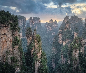 Las, Góry, Wulingyuan Scenic Area, Skały, Hunan, Drzewa, Chiny, Zhangjiajie National Forest Park