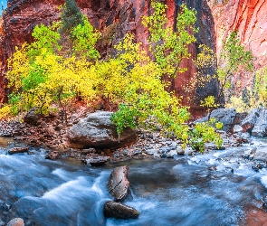 Stan Utah, Skały, Stany Zjednoczone, Kanion Zion Narrows, Rzeka Virgin River, Park Narodowy Zion, Roślinność, Kamienie