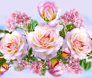 Różowe, Grafika 2D, Róże, Kwiaty