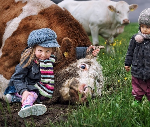 Dzieci, Krowy