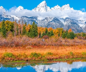 Stan Wyoming, Drzewa, Park Narodowy Grand Teton, Stany Zjednoczone, Góry Teton Range, Jesień, Rzeka