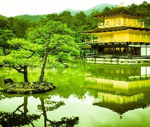 Staw, Park, Japonia, Świątynia Kinkaku-ji, Złoty Pawilon, Kioto, Drzewa