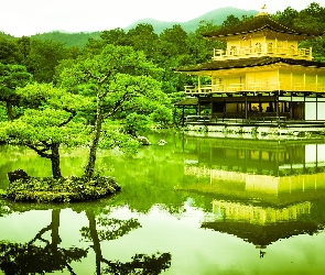 Kioto, Złoty Pawilon, Staw, Japonia, Świątynia Kinkaku-ji, Park, Drzewa