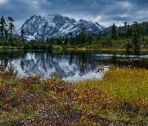 Park Narodowy Północnych Gór Kaskadowych, Stan Waszyngton, Drzewa, Stany Zjednoczone, Góry Kaskadowe, Picture Lake, Góra, Mount Shuksan, Jezioro, Lasy