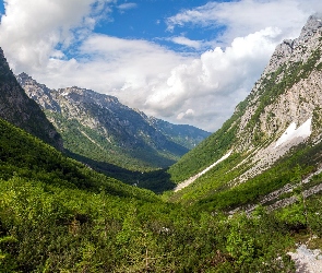 Chmury, Kamienie, Dolina, Niebo, Drzewa, Góry, Rośliny