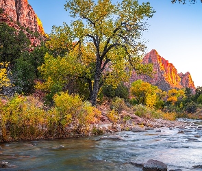 Góry Watchman, Kamienie, Park Narodowy Zion, Rzeka, Stan Utah, Drzewa, Stany Zjednoczone, Virgin River