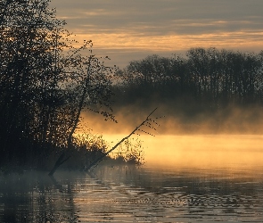 Obwód moskiewski, Szatura, Las, Rosja, Mgła, Jezioro, Drzewa
