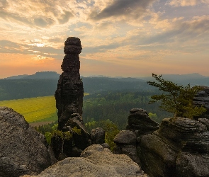 Niemcy, Park Narodowy Saskiej Szwajcarii, Formacja, Skały, Drzewa, Góry Połabskie