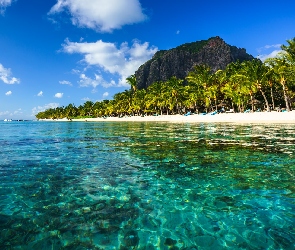 Mauritius, Le Morne Brabant, Plaża, Morze, Palmy, Góra