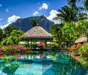 Krzewy, Góra, Hotel, Altana, Wakacje, Mauritius, LUX Le Morne, Półwysep Le Morne, Okwiecone, Basen, Palmy