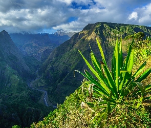 Roślina, Riviere des Galets, Francja, Wąwóz, Kaldera, Góry, Rzeka, Wyspa Reunion, Droga, Szlak, Mafate