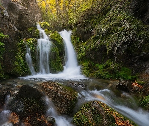 Argentyna, Skały, Kamienie, Patagonia, Rzeka, Las, Wodospad, Roślinność, Park Narodowy Los Glaciares, Omszałe