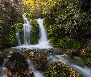 Argentyna, Las, Omszałe, Rzeka, Park Narodowy Los Glaciares, Roślinność, Skały, Kamienie, Patagonia, Wodospad