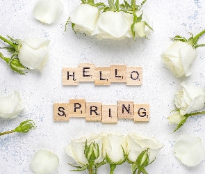 Kwiaty, Białe, Wiosna, Napis, Hello Spring, Róże