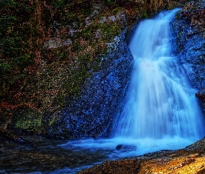 Horni Mesto, Drzewo, Resov Falls, Czechy, Rośliny, Wodospad, Skały