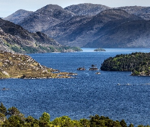 Hrabstwo Highland, Drzewa, Loch Morar, Szkocja, Wysepki, Jezioro, Góry