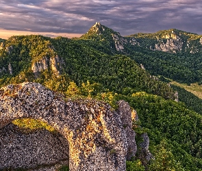 Drzewa, Ruiny, Skały, Góry, Słowacja, Castle Sulov, Zamek, Powiat Bytca, Lasy