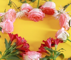 Kwiaty, Żółte tło, Alstremeria, Serce, Róże
