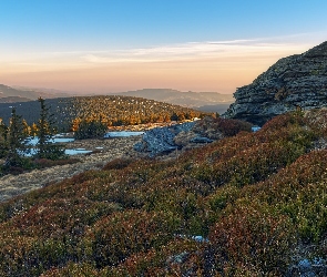 Poranek, Góry Jesioniki, Czechy, Drzewa, Rośliny, Skały