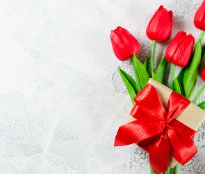 Kokarda, Prezent, Czerwone, Tulipany