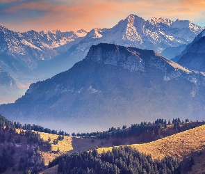 Góry, Szwajcaria, Dolina, Drzewa, Alpy Szwajcarskie