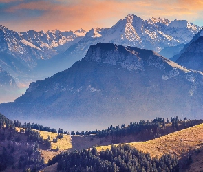 Alpy Szwajcarskie, Szwajcaria, Drzewa, Dolina, Góry