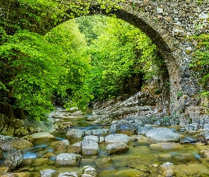 Las, Kamienie, Most, Kamienny, Rzeka, Drzewa