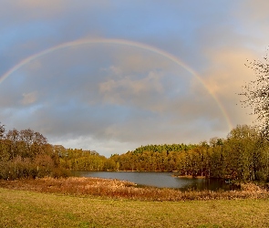 Drzewa, Jezioro Holzmaar, Niemcy, Gillenfeld, Nadrenia-Palatynat, Tęcza