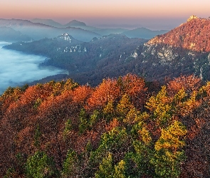 Jesień, Góry, Lasy, Dolina, Kolorowe, Drzewa, Mgła