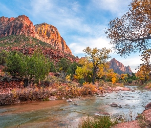 Góry Watchman, Virgin River, Park Narodowy Zion, Rzeka, Stan Utah, Drzewa, Stany Zjednoczone, Kamienie