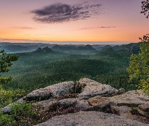 Wschód słońca, Drzewa, Mgła, Skały, Góry