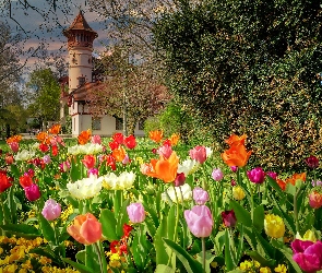 Zameczek Scheuermanna, Tulipany, Kwiaty, Niemcy, Herrsching am Ammersee, Park, Bawaria, Wiosna