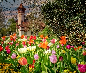 Tulipany, Park, Kwiaty, Zameczek Scheuermanna, Bawaria, Wiosna, Niemcy, Herrsching am Ammersee